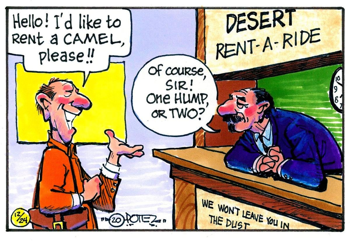 Camel rental