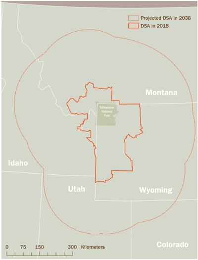 The Yellowstone grazing debate: Is the Northern Range being harmed?