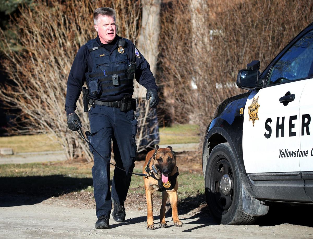 Billings police dog helps nab suspected car thief hiding in West End