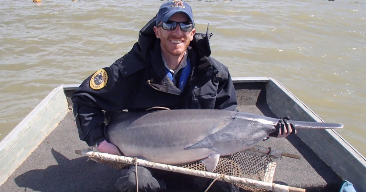 Paddlefish season opens May 1 on Missouri River