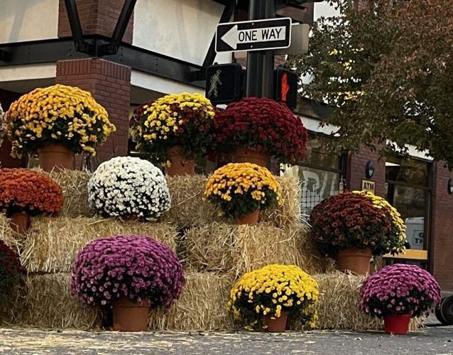 Lets all come together for Fall at the 22nd Annual HarvestFest: Oct. 10th