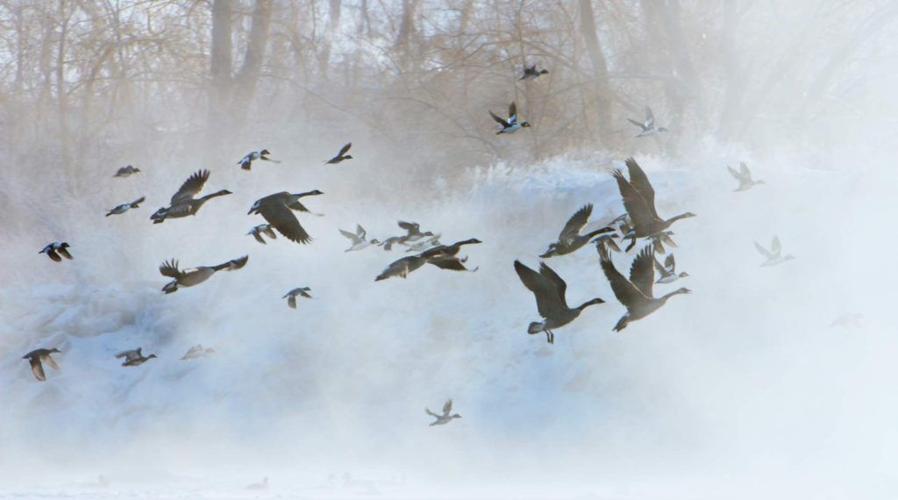 Wide-Open Winter Activities in Southeast Montana