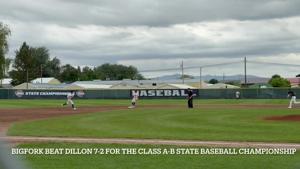 Bigfork's Vikings win Class A-B state baseball tournament