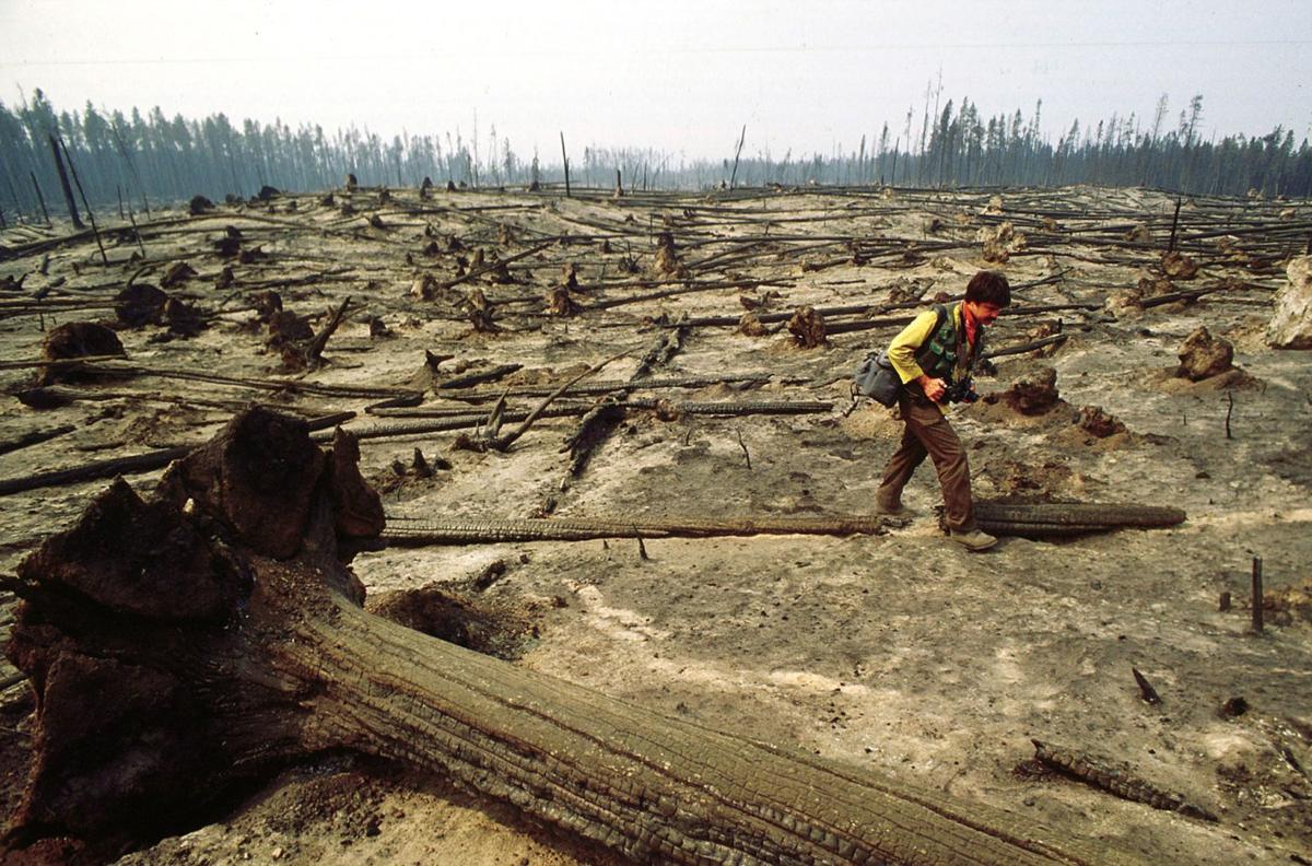 30 years later, Yellowstone park fire memories still linger