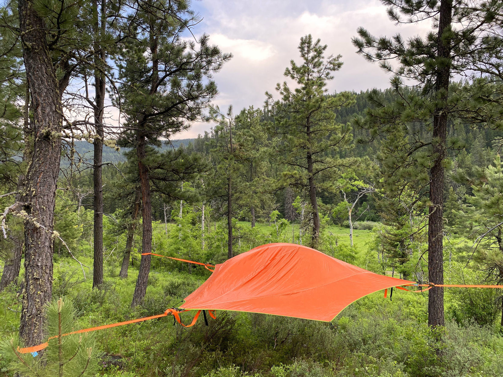 Tent with hammock outlet inside