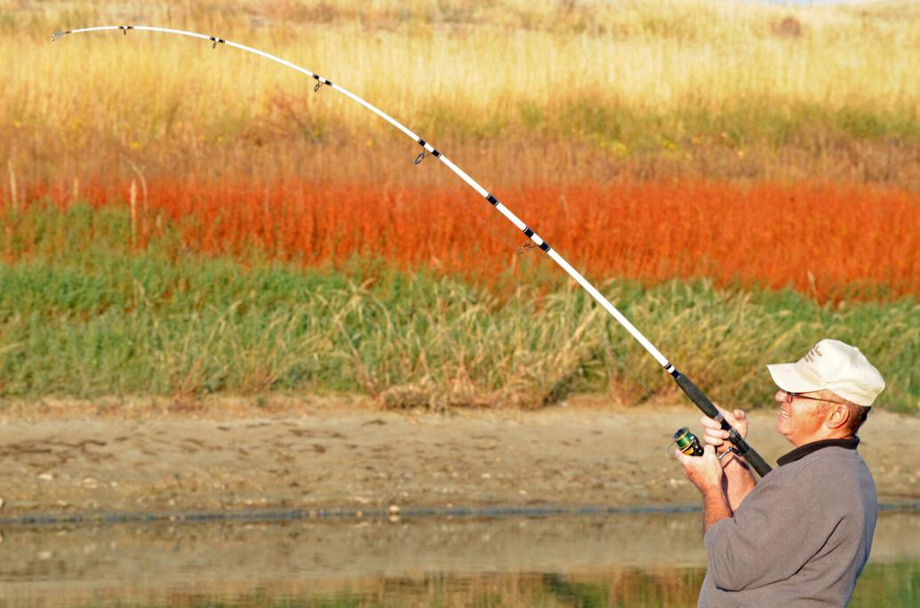 Hooked on salmon Fall chinook snagging draws anglers to Fort Peck