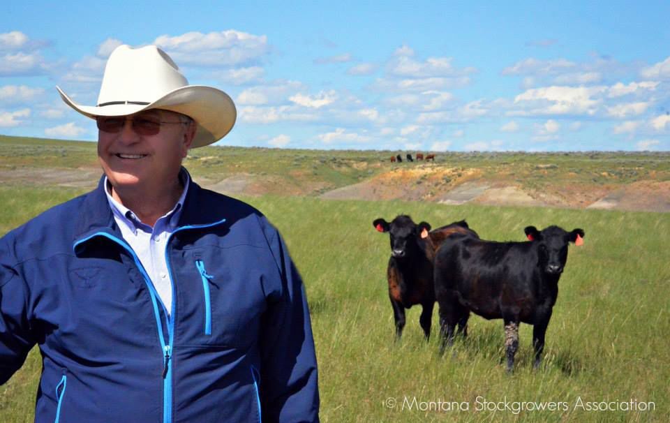 Fred Wacker, Cross Four Ranch