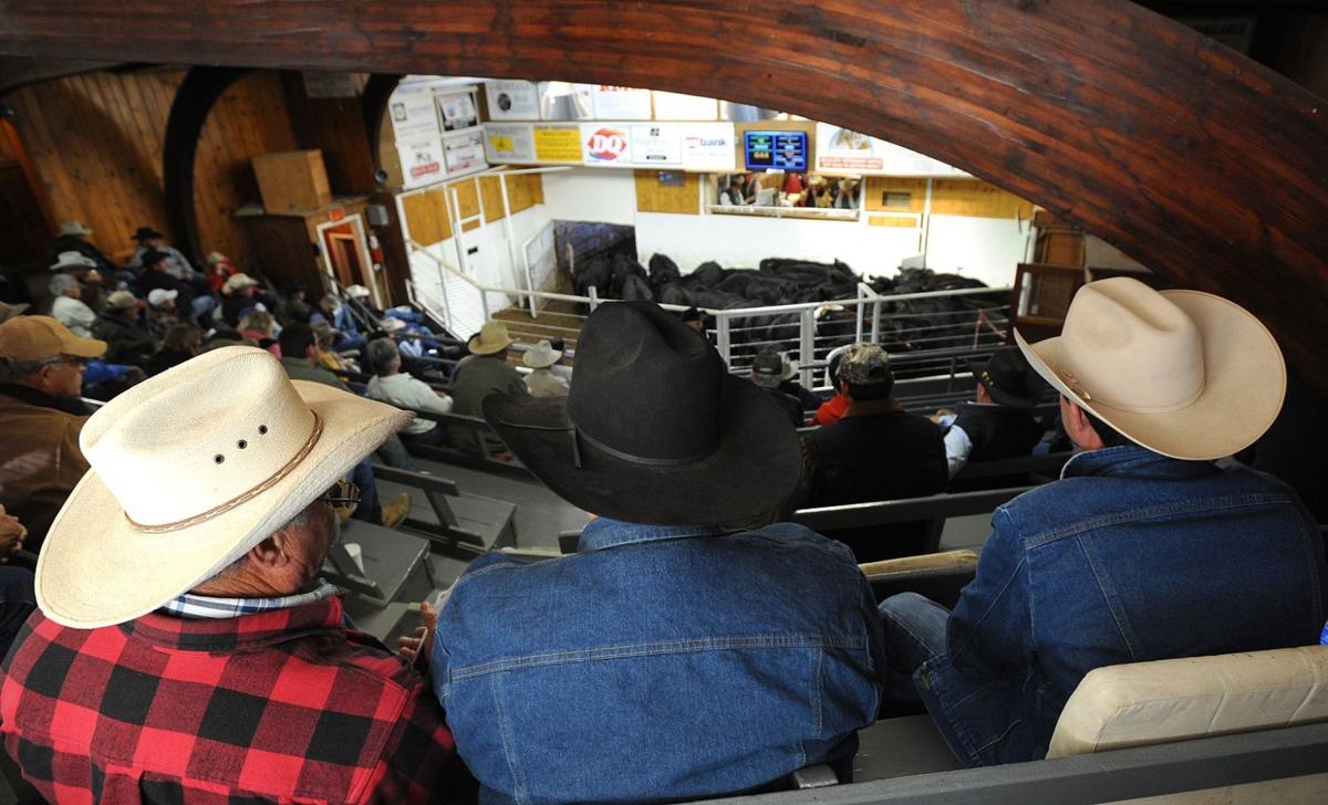 Fire destroys livestock commission building Montana News