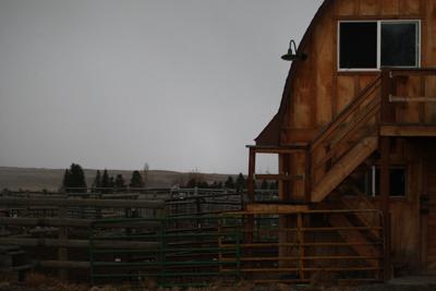 406 Favs: A cowboy at heart - Montana Tech linebacker Connor Wines can't shake his roots