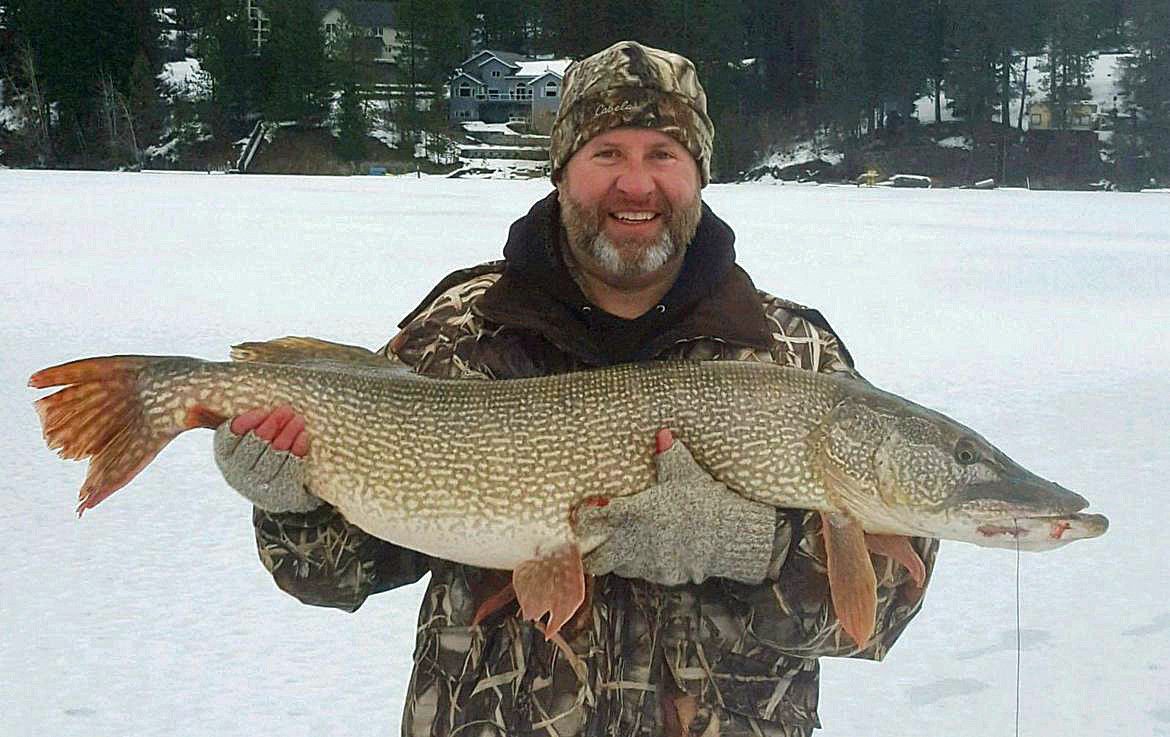 We Needed a Bigger Scale': Idaho Angler Reels In Monster Pike