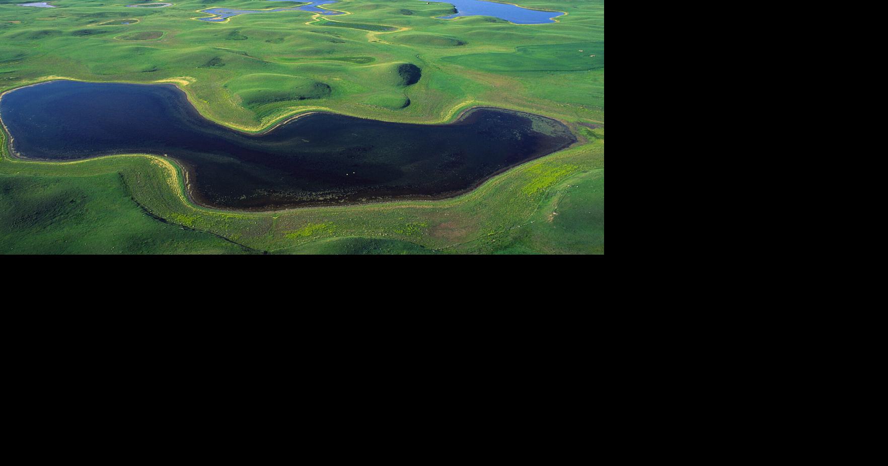 Feds pause wetland plan in prairie 'Duck Factory' after receiving 200,000 comments
