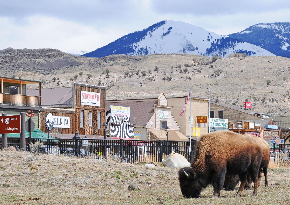 Bison help