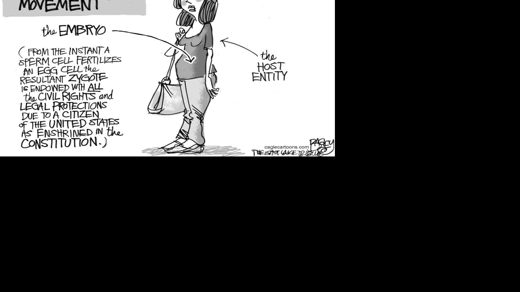 Why Life Doesn T Begin At Conception Columnists Billingsgazette Com
