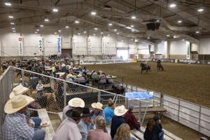 Wrangler National Team Roping Championships
