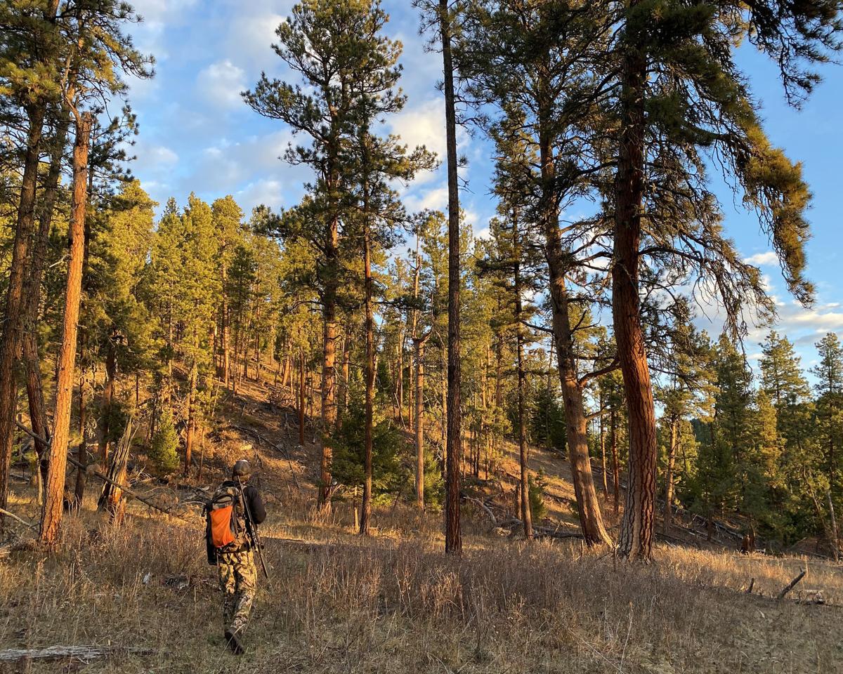 Hiking in