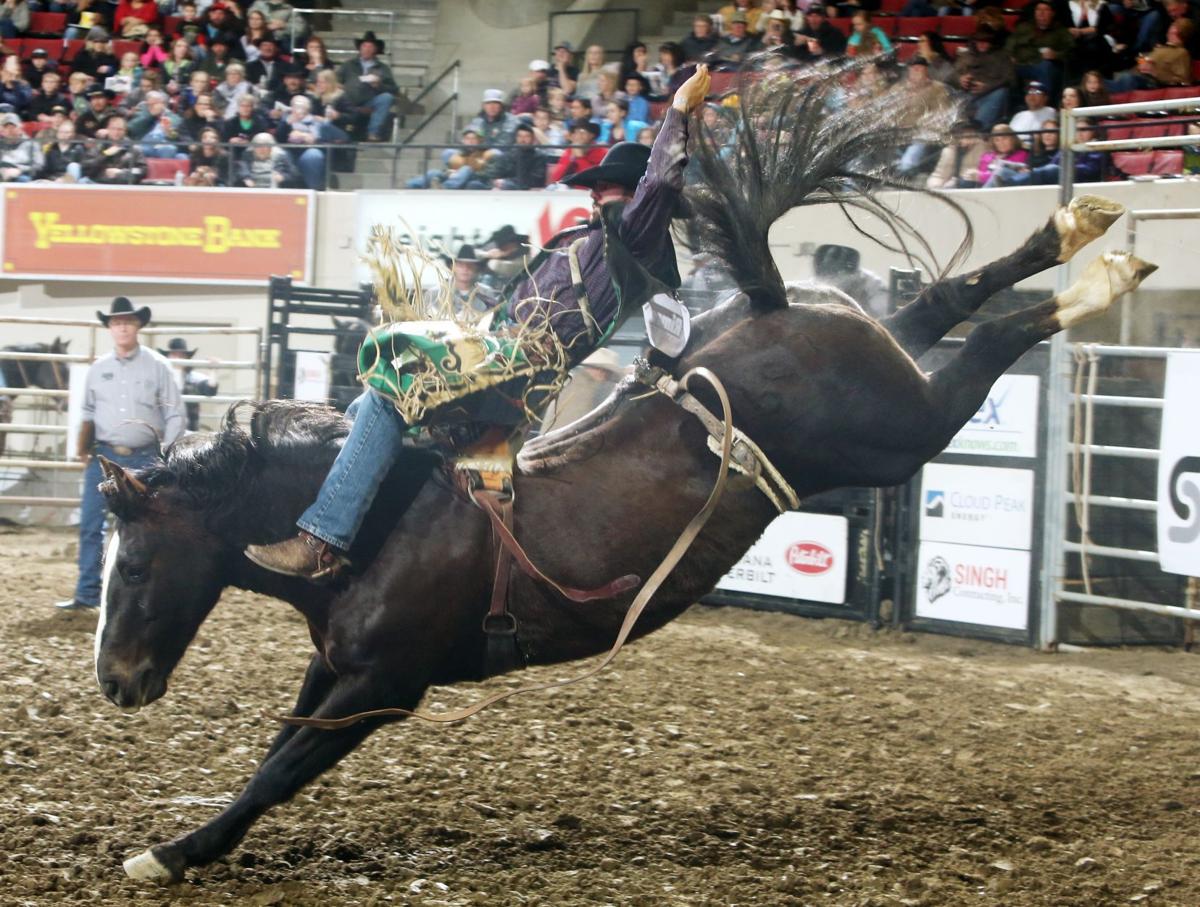 Brody Cress continues hot streak with Chase Hawks saddle bronc win
