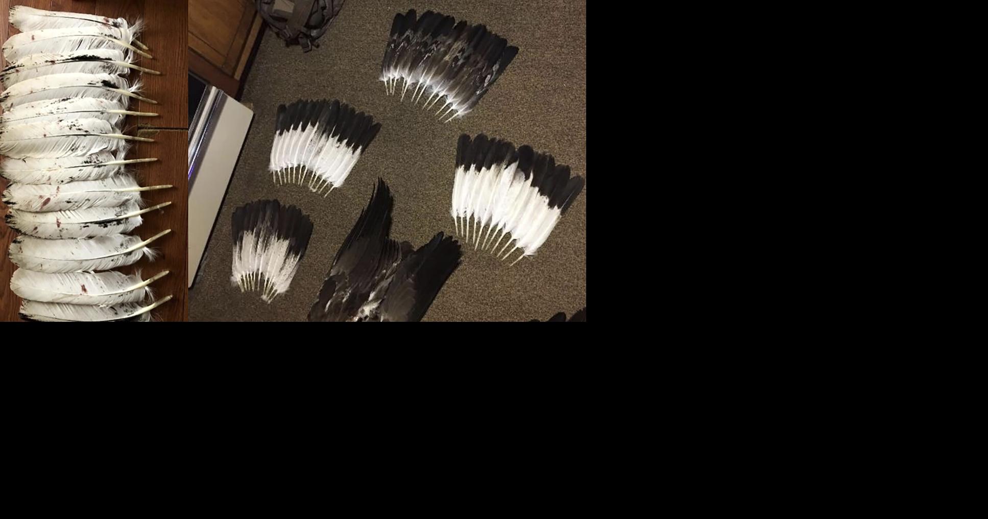 Texas man facing federal charges in eagle poaching case
