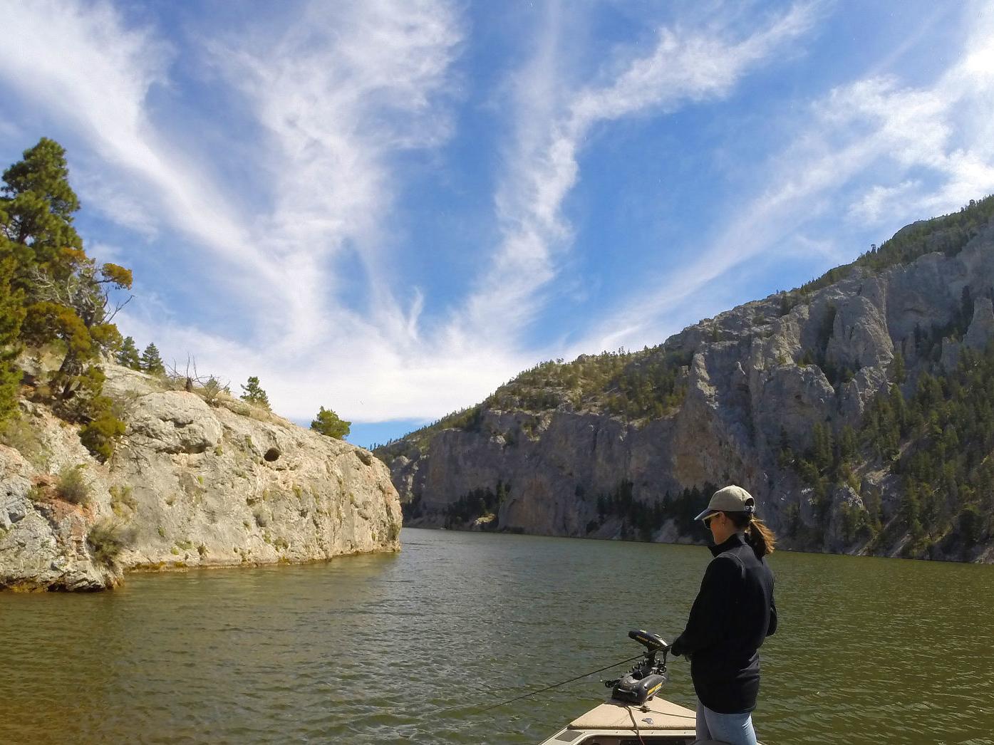 Montana Fishing Report Cool Weather Temporarily Dampens Angling