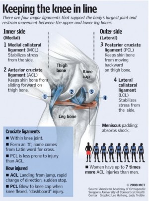 Dissertation on female knee injuries