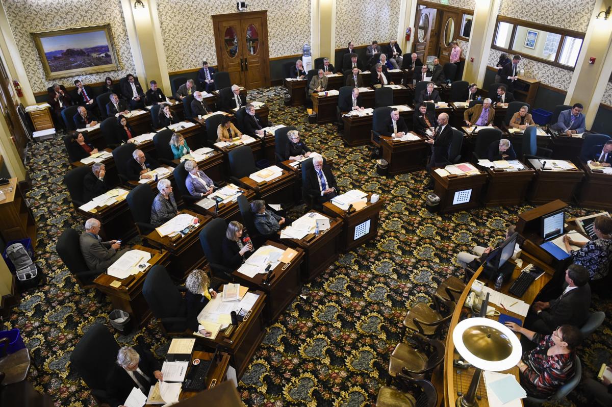 Kendall Cotton: Montana has a supermajority. What now?