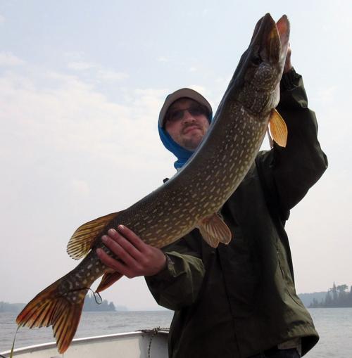 Trent Hinkel