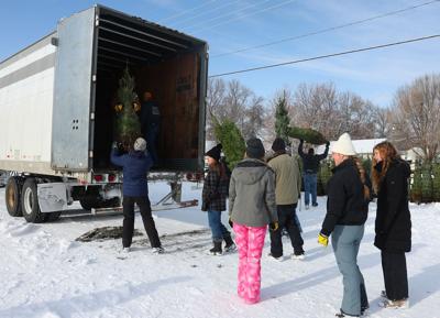 Christmas trees are comin' to town