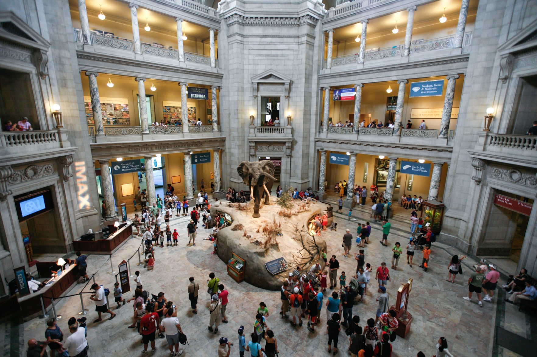 Smithsonian National Museum Of Natural History Director To Speak On ...