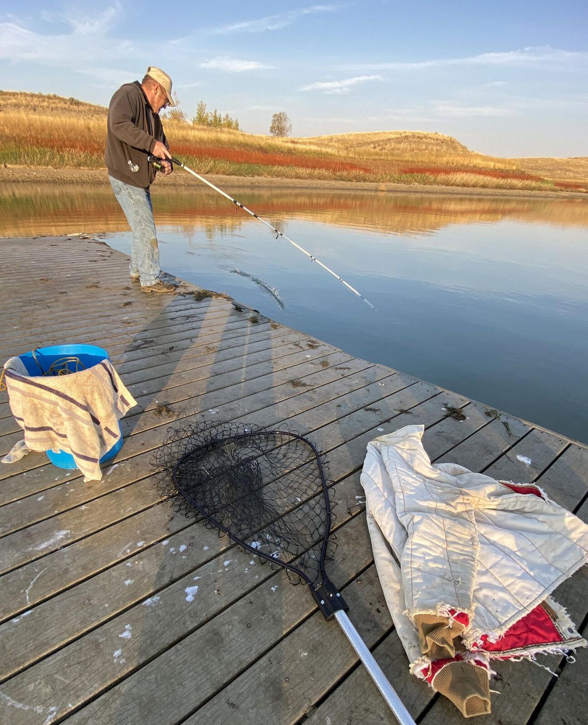 Hooked on salmon: Fall chinook snagging draws anglers to Fort Peck Reservoir