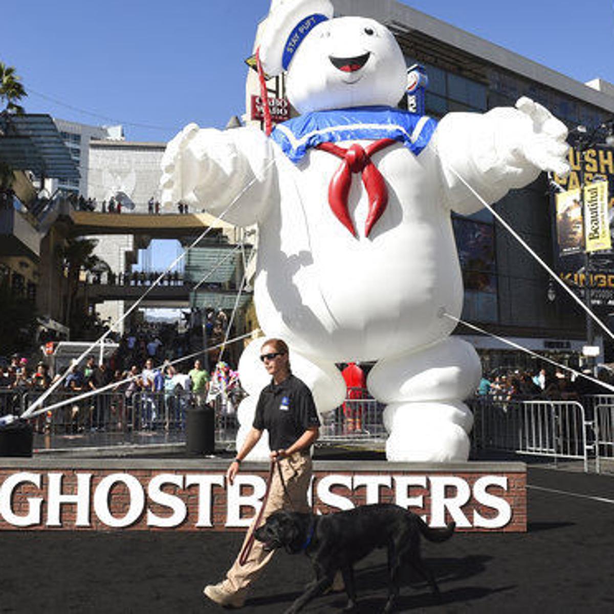 Scientists Name Newly Id D Dino For Ghostbusters Monster International Billingsgazette Com