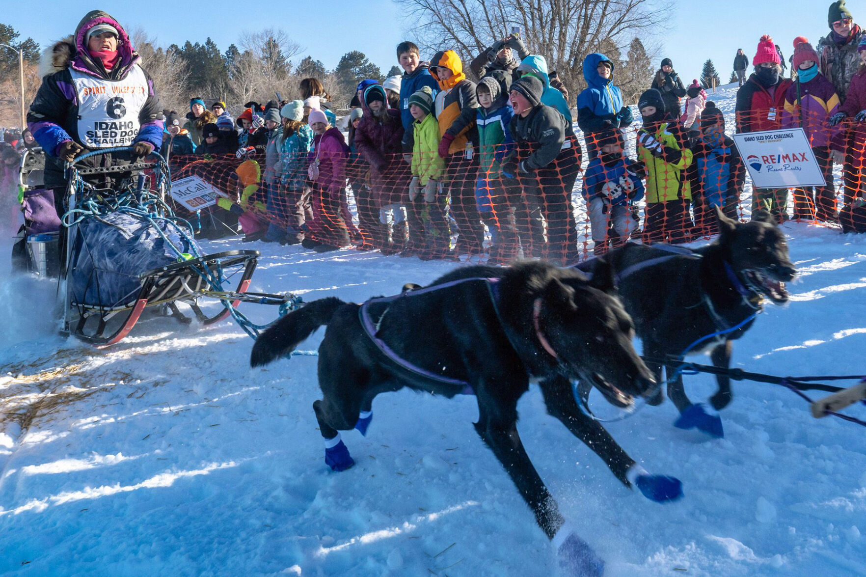 Montana Mushers Win Idaho Sled Dog Challenge 100 And 300 Mile Races