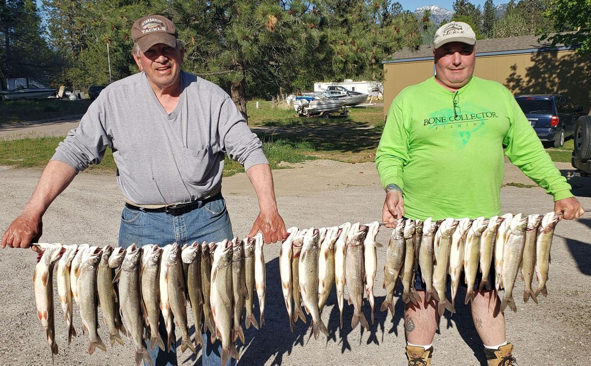 Columbia River Walleye Guided Trip