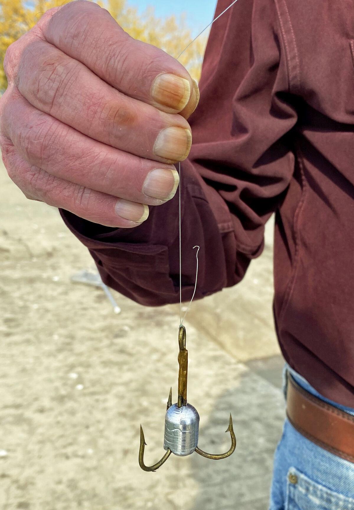 Hooked on salmon Fall chinook snagging draws anglers to Fort Peck Reservoir