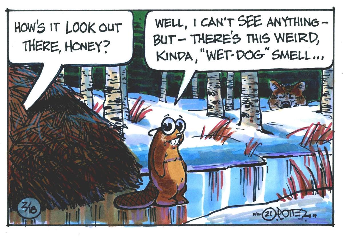 Sneaky wolves
