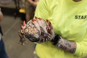 Reptile Expo at MetraPark