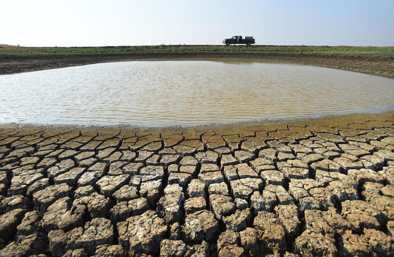 Photos Drought and destroy crops in Montana