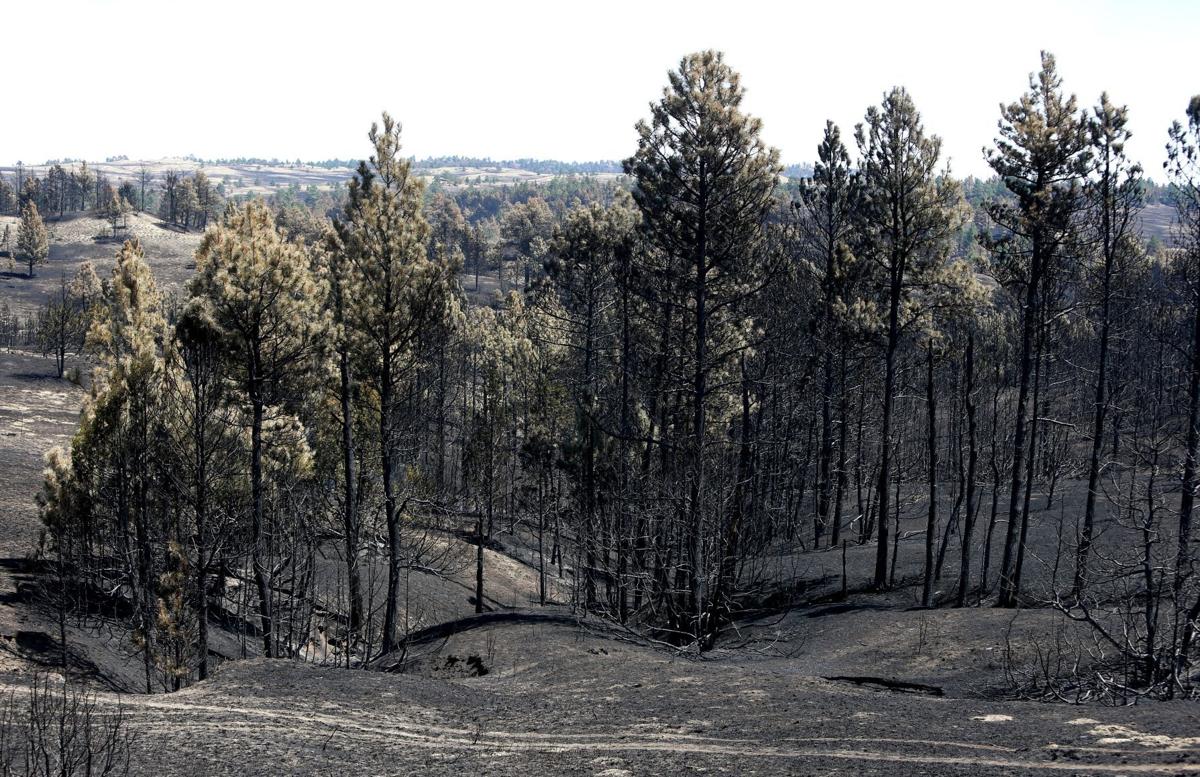 Longterm losses of Montana's fire season amount to much more than