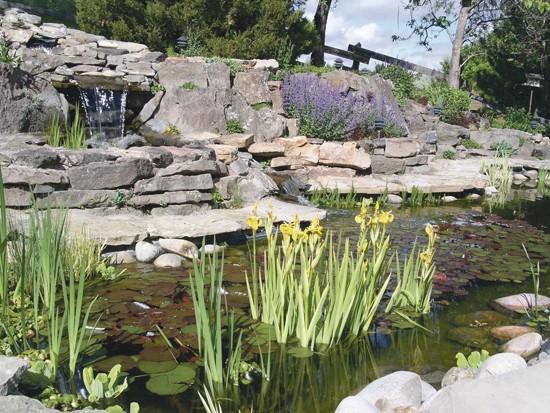 Ponds, fountains, streams add sense of peace to backyard