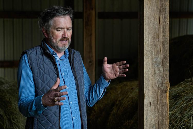 blue dress barn lawsuit Thomas Massie faces primary challenger, Trump's wrath 85% polyester / 15%