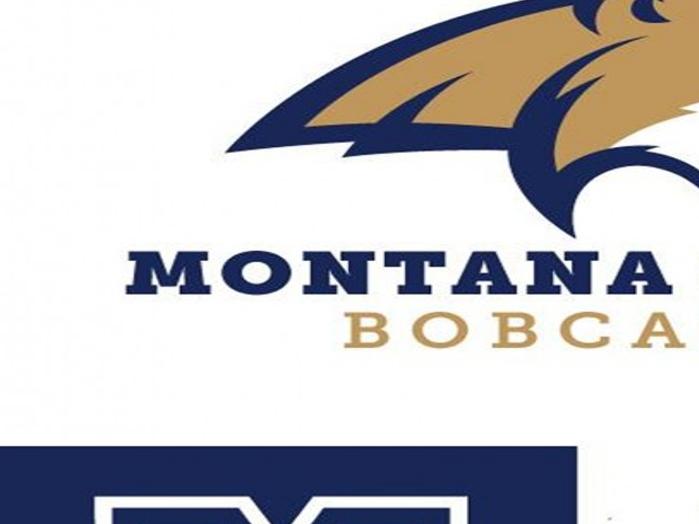Bobcats Introduce New Logos Brand Montana State University Bobcats Billingsgazette Com