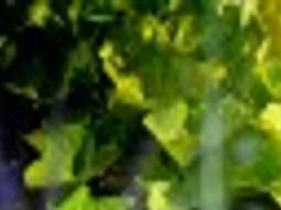 Trickle Down Theory Incorporating The Perfect Water Feature Into Your Back Yard Home Garden Billingsgazette Com