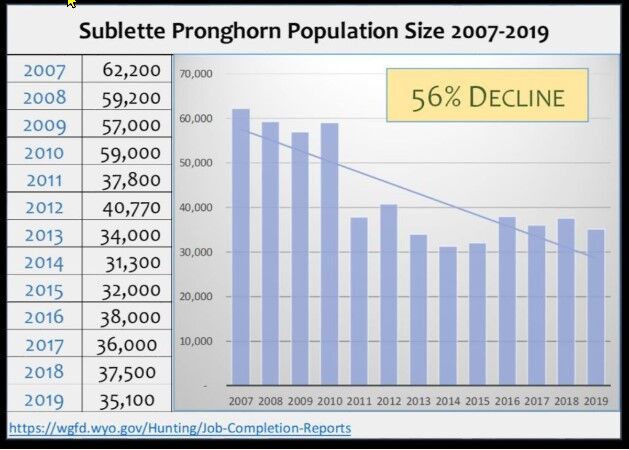 Pronghorn decline