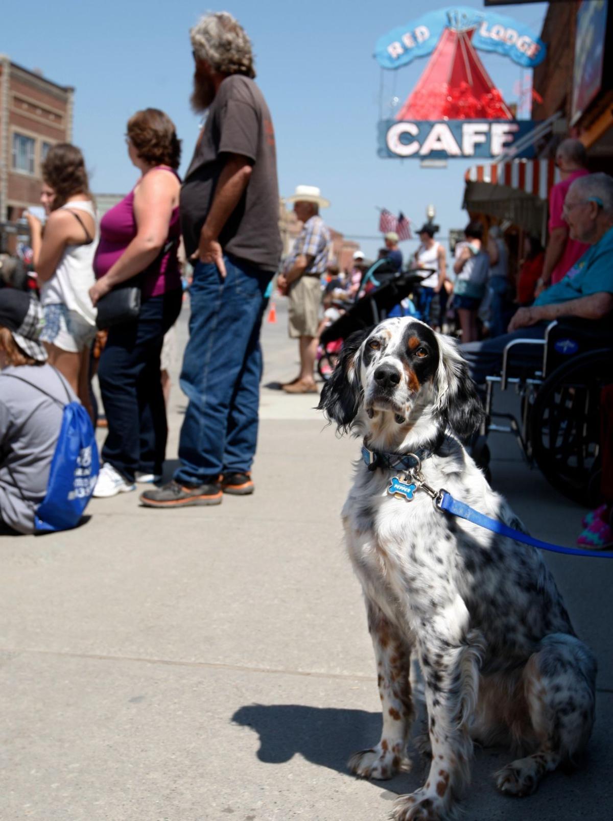 Red Lodge 4th of July parade honors community's ag, mining history