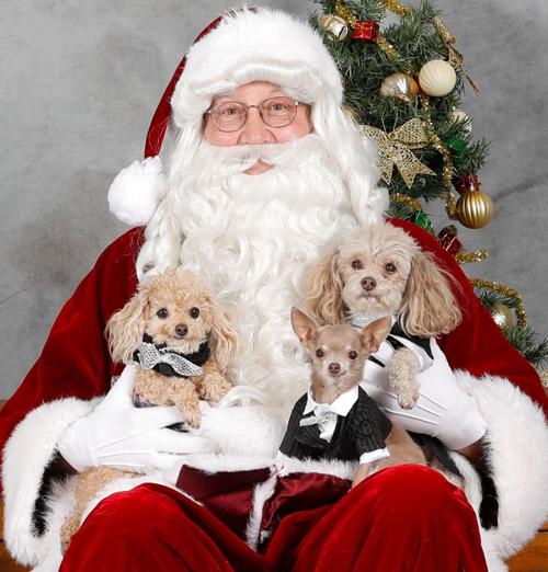 Gazette Opinion Thankful At Christmas And Hanukkah Editorial Billingsgazette Com