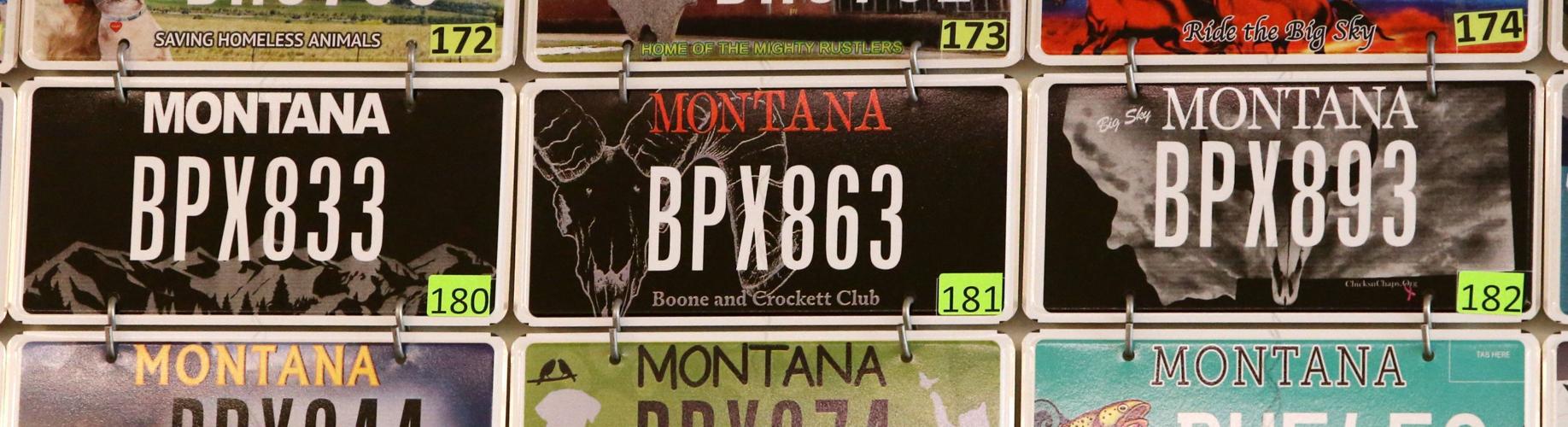 Popular black Montana license plate inspires a few imitators