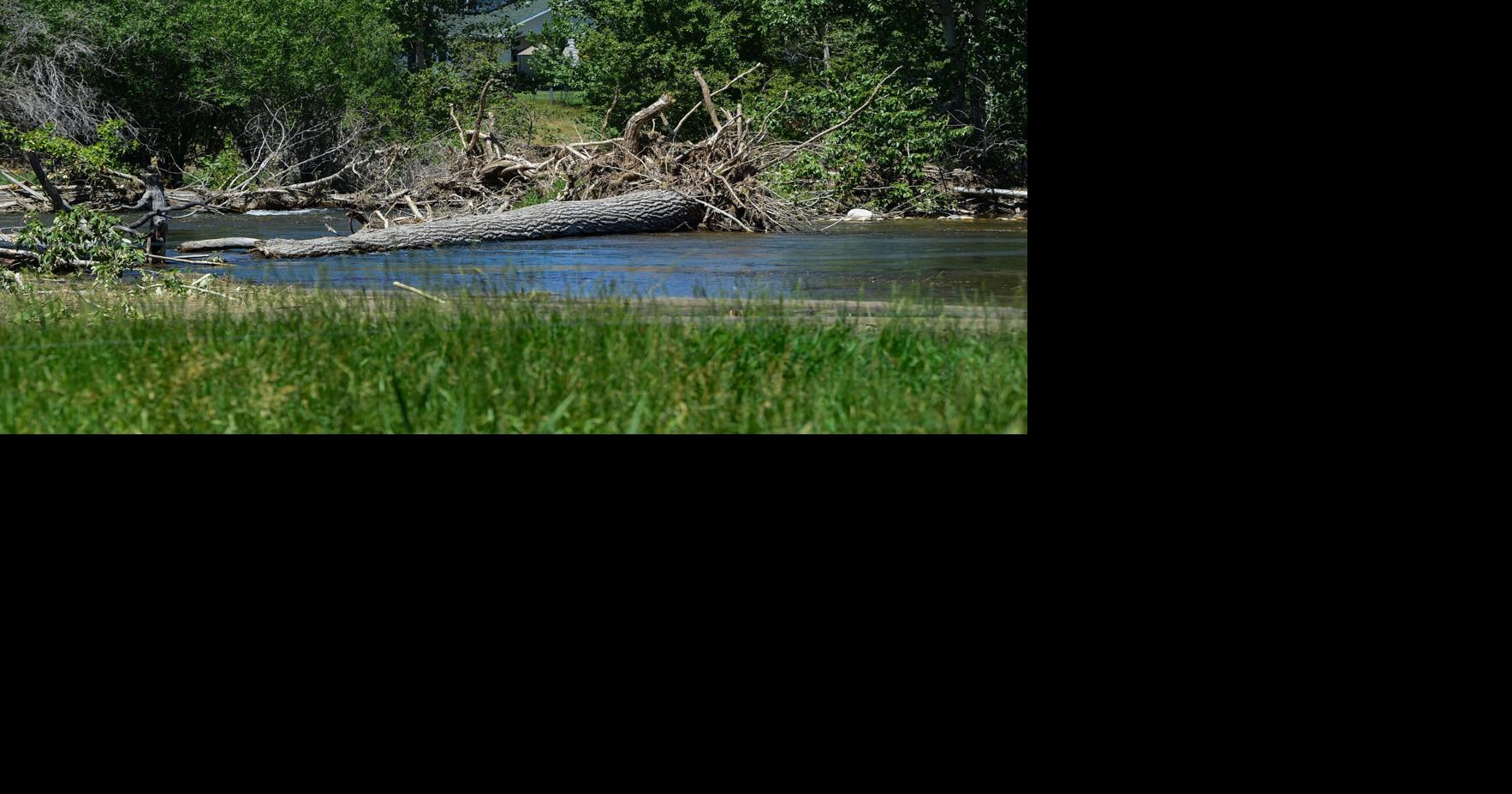 Flood damage limits equine services in Absarokee
