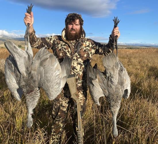 After a slow start, sandhill crane released into the wild