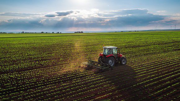 Top Stocks in Agriculture