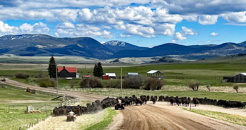 This Is Montana Pastoral Helmville eyes sustainable future to preserve