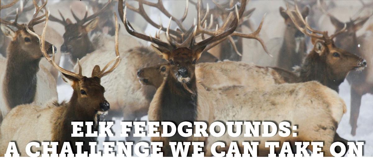 Elk talks