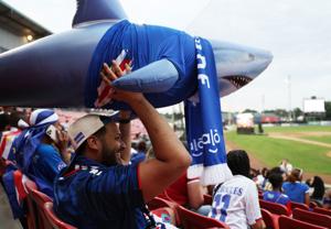 SOCCER-WORLDCUP-CPV-SAU/FANS